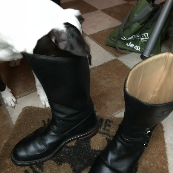 Chippewa Engineer Boots.
Worn twice. - Picture 3 of 7